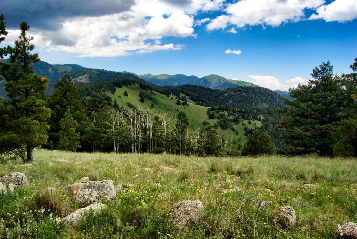 Perfect Cabin, 2 Bedrooms, Fireplace, Midtown, Sleeps 5 Ruidoso Dış mekan fotoğraf