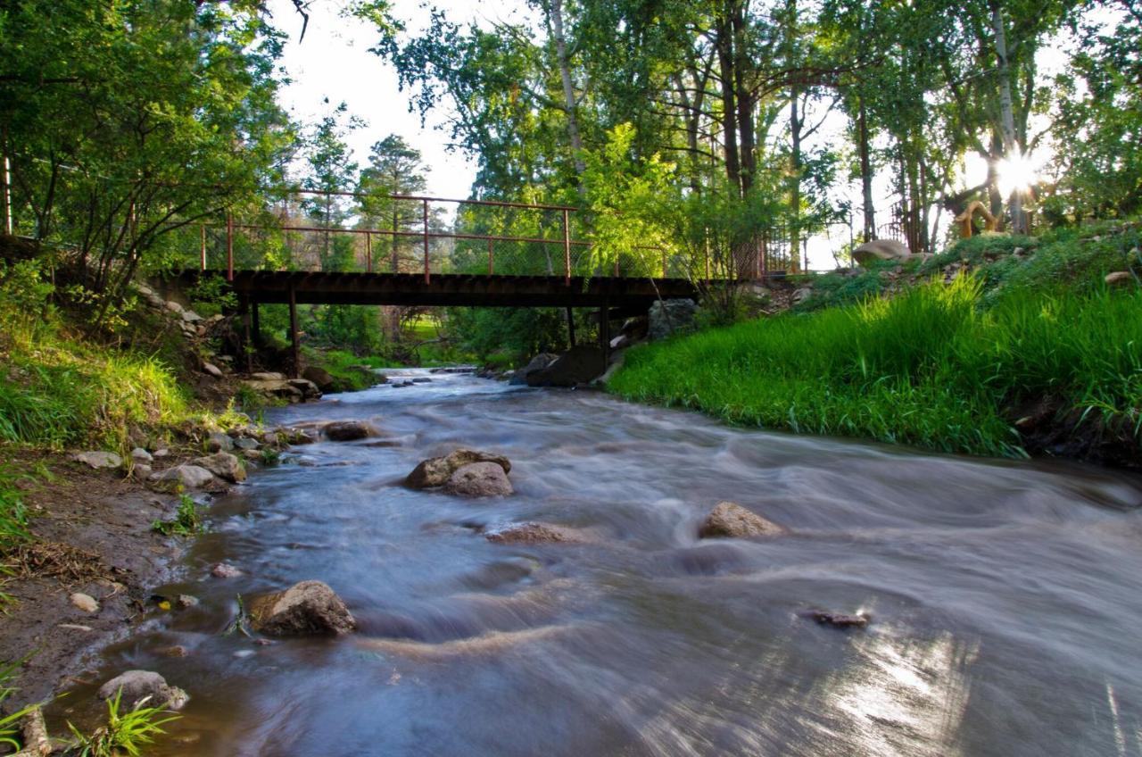 Perfect Cabin, 2 Bedrooms, Fireplace, Midtown, Sleeps 5 Ruidoso Dış mekan fotoğraf
